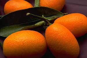 fruit_tangerine